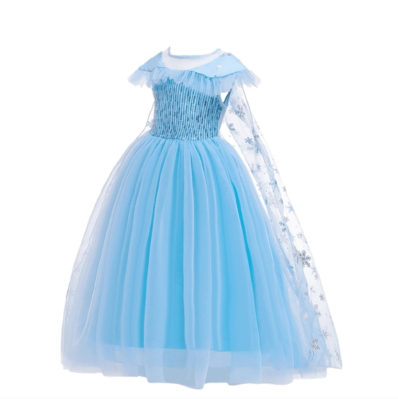 Other - Elsa froze dress for party and special Costume Only  Few Avaliable